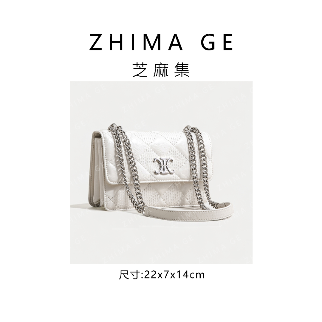 Chanel Vanity Cesa Metallic Silver Bag GAB-133 Mask Queen Nepal