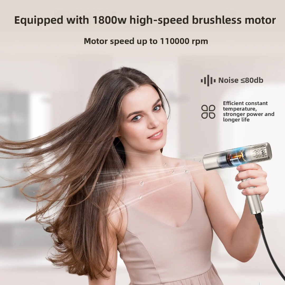 Professional Ionic High-Speed Hair Dryer Mask Queen Nepal