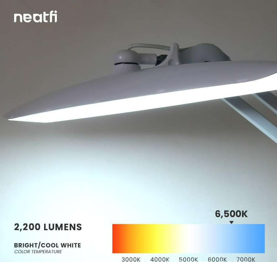 Shark Table Light LED Light Mask Queen Nepal