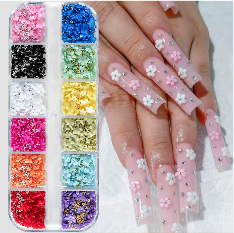 PH 12 Grid Nail Stone Box Nail Art Rhinestone Mask Queen Nepal