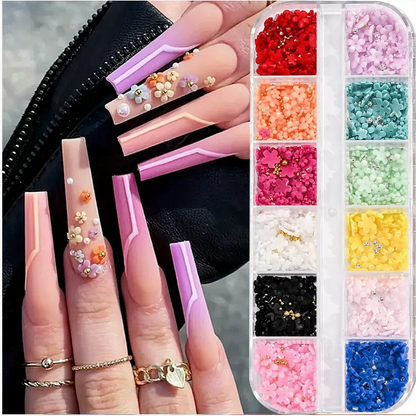 PH 12 Grid Nail Stone Box Nail Art Rhinestone Mask Queen Nepal