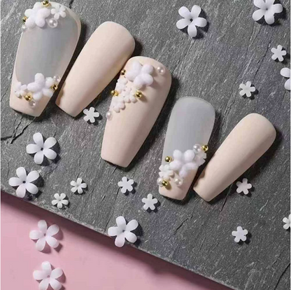 PH288/12 Grid Nail Stone Box Nail Art Rhinestone Mask Queen Nepal