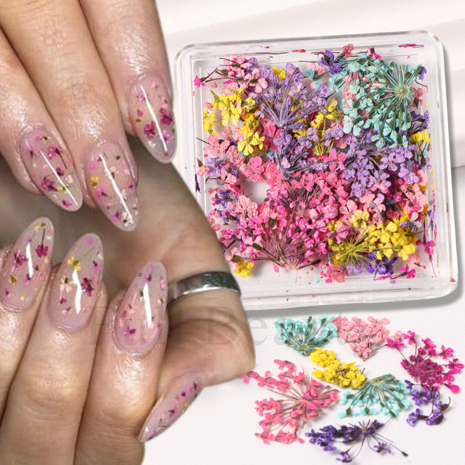 Nail Art Dry Flower Mix Color. Mask Queen Nepal