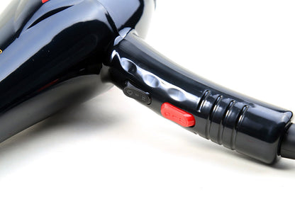 IAS V&G Professional Hair Dryer model 3100 Mask Queen Nepal