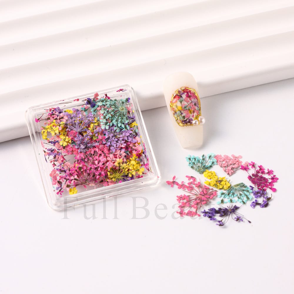 Nail Art Dry Flower Mix Color. Mask Queen Nepal