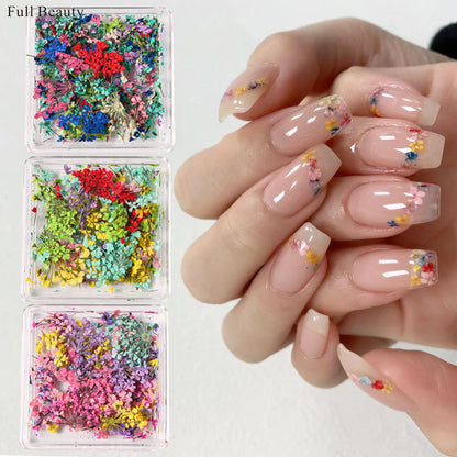 Nail Art Dry Flower Mix Color. Mask Queen Nepal