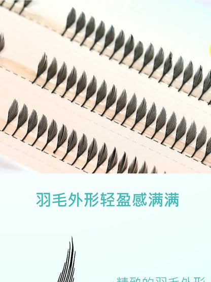 Anime Spiral Lash Mask Queen Nepal