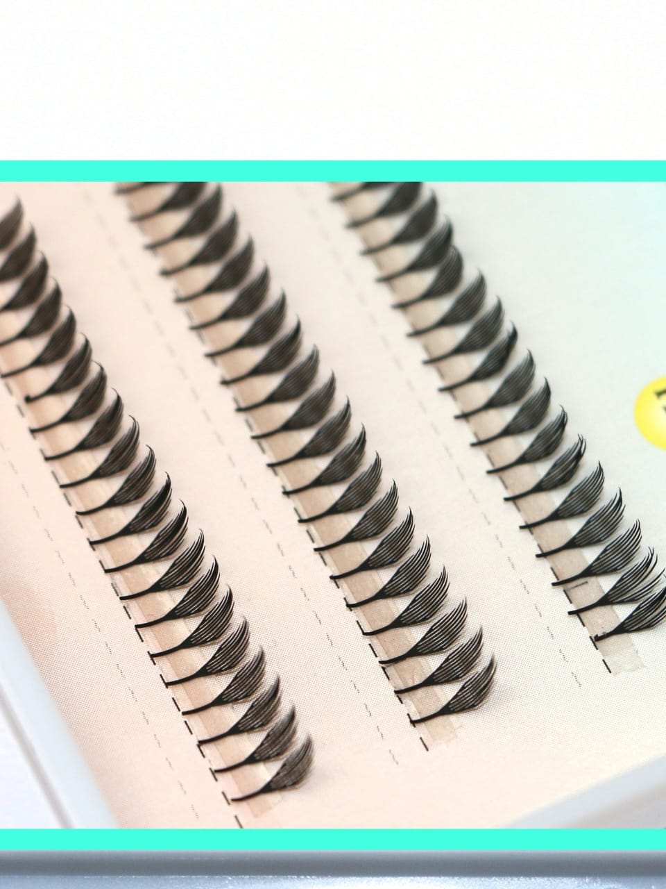 Anime Spiral Lash Mask Queen Nepal