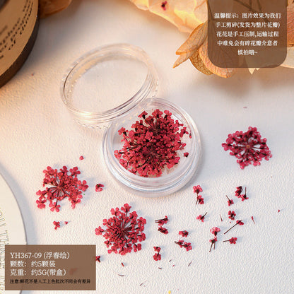 Mix Dried Flowers Set Mask Queen Nepal