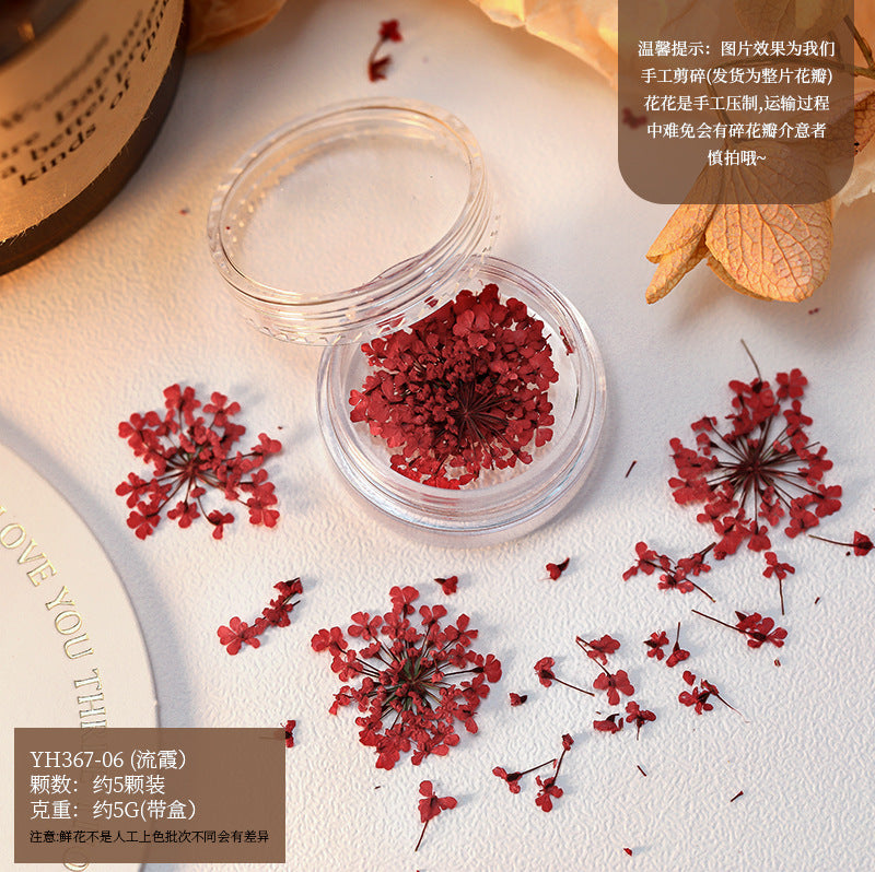 Mix Dried Flowers Set Mask Queen Nepal