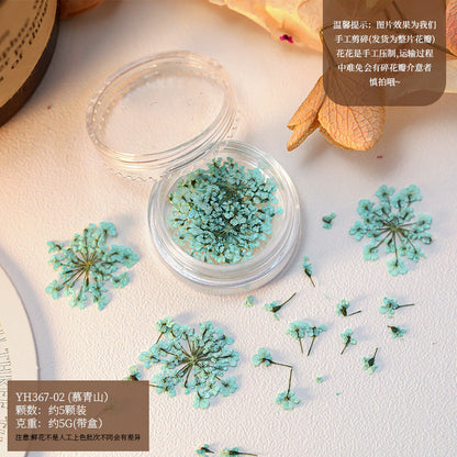 Mix Dried Flowers Set Mask Queen Nepal