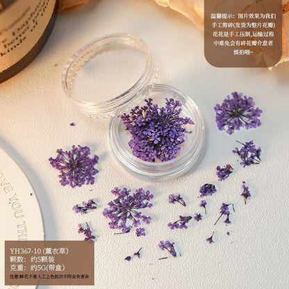 Mix Dried Flowers Set Mask Queen Nepal