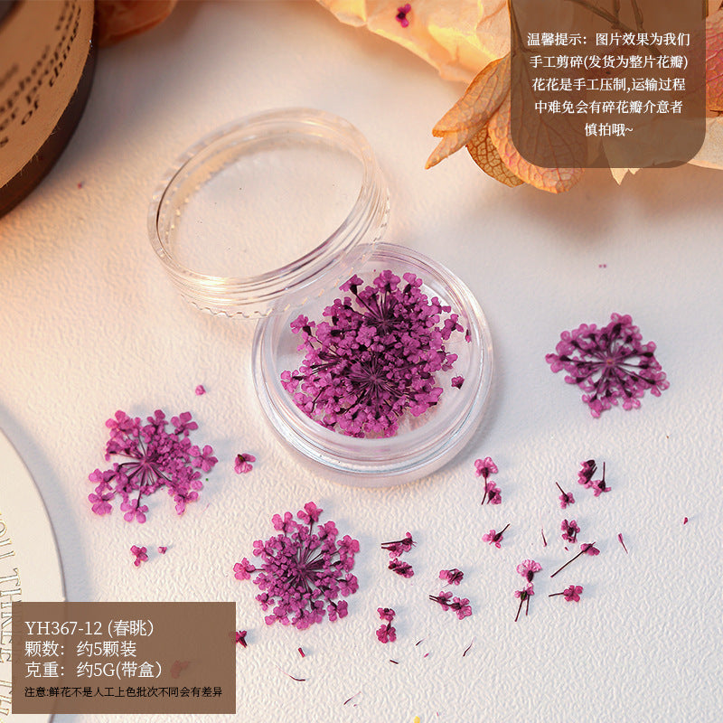 Mix Dried Flowers Set Mask Queen Nepal