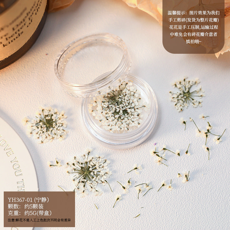 Mix Dried Flowers Set Mask Queen Nepal