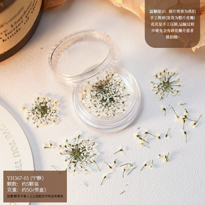 Mix Dried Flowers Set Mask Queen Nepal