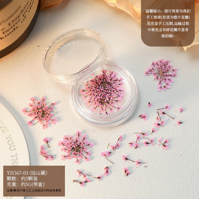 Mix Dried Flowers Set Mask Queen Nepal