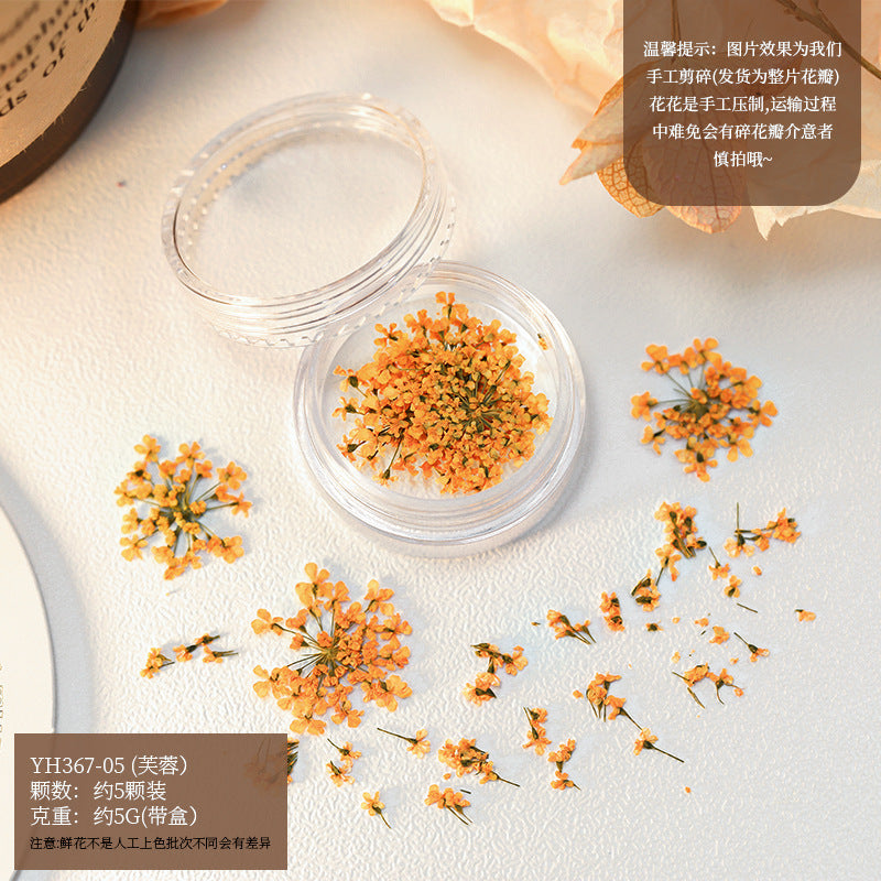 Mix Dried Flowers Set Mask Queen Nepal