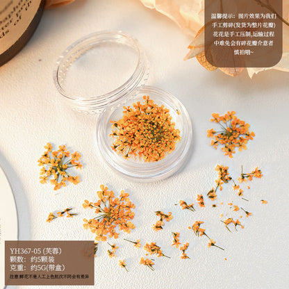 Mix Dried Flowers Set Mask Queen Nepal