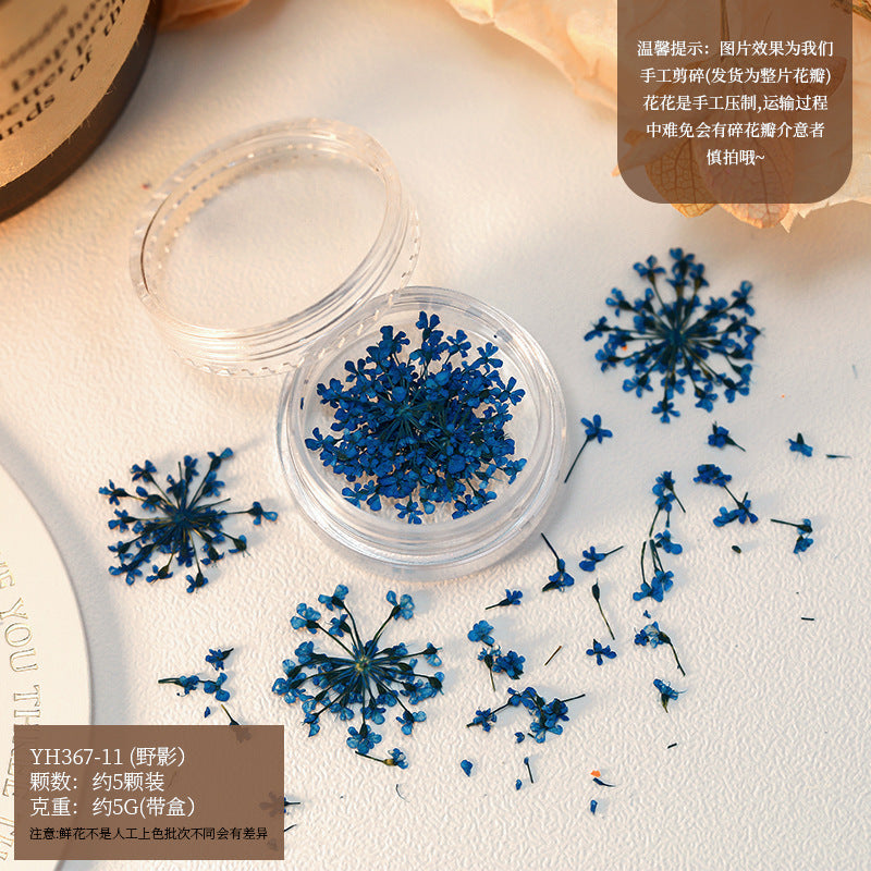 Mix Dried Flowers Set Mask Queen Nepal