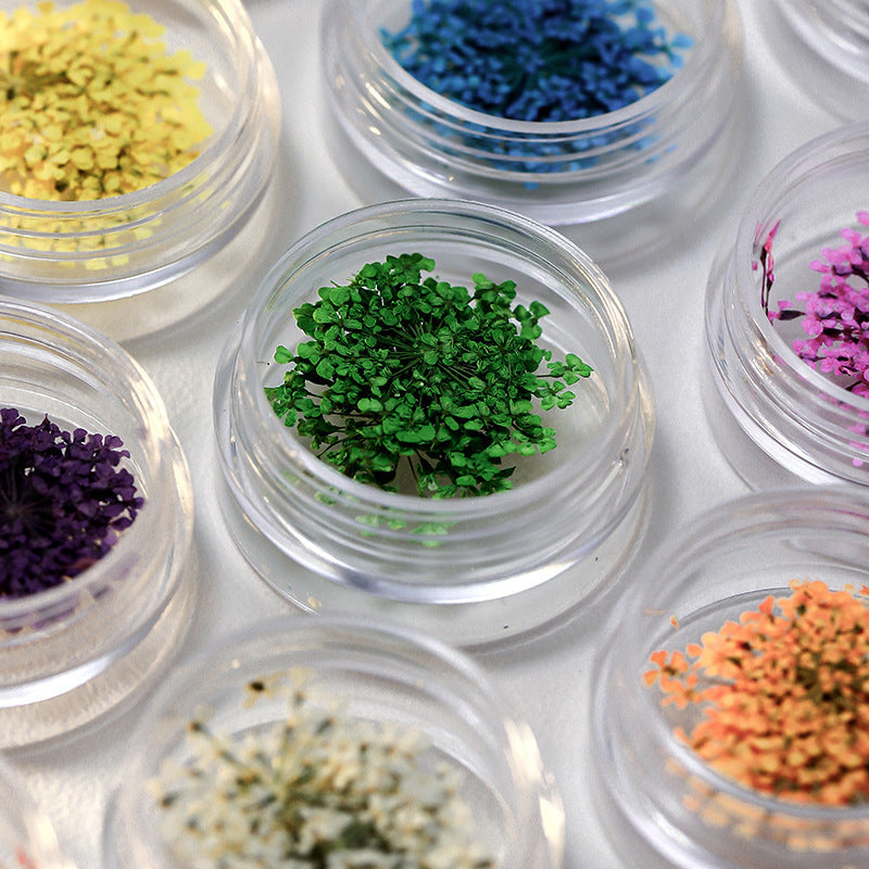 Mix Dried Flowers Set Mask Queen Nepal