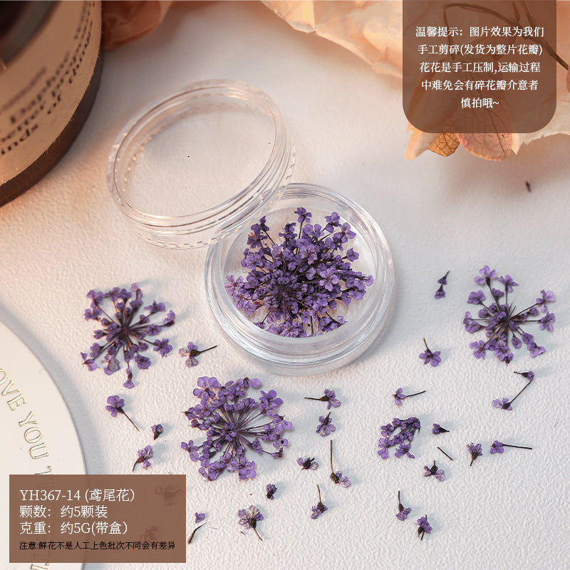 Mix Dried Flowers Set Mask Queen Nepal