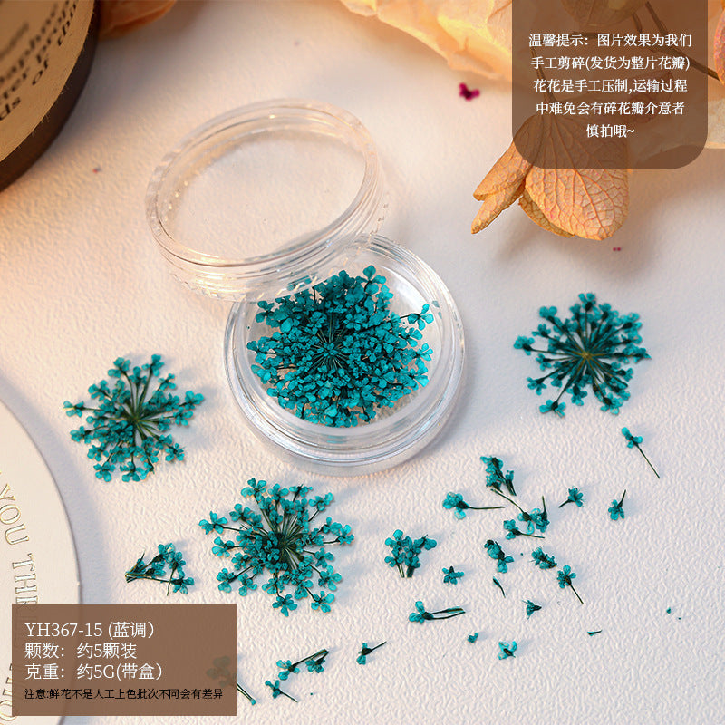 Mix Dried Flowers Set Mask Queen Nepal