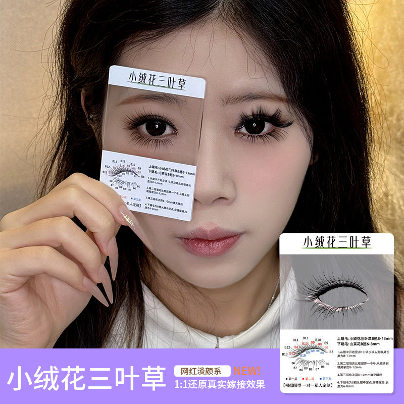 3d Try On Card Cluster Segmented Grafted Eyelashes Mask Queen Nepal