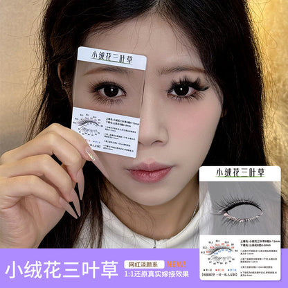 3d Try On Card Cluster Segmented Grafted Eyelashes Mask Queen Nepal