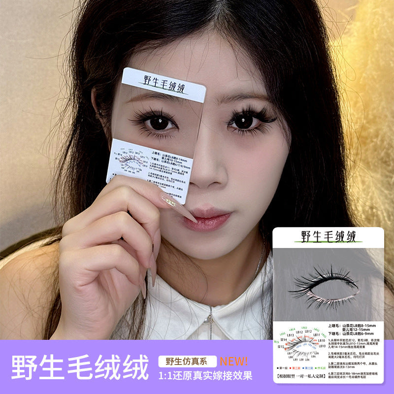 3d Try On Card Cluster Segmented Grafted Eyelashes Mask Queen Nepal