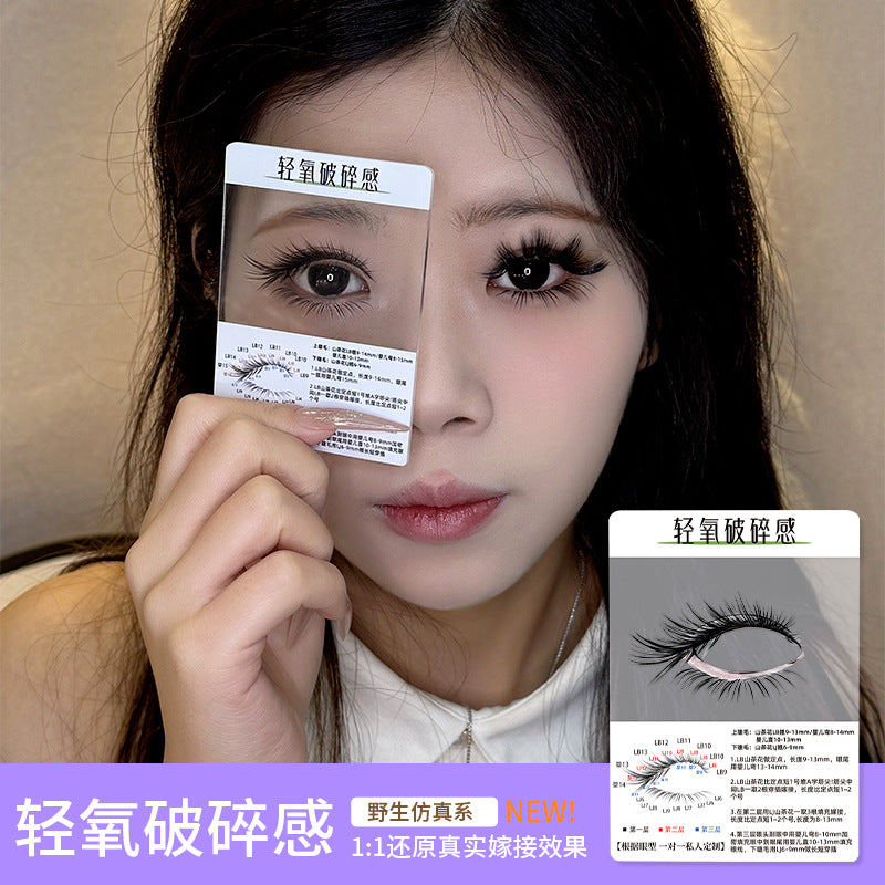 3d Try On Card Cluster Segmented Grafted Eyelashes Mask Queen Nepal