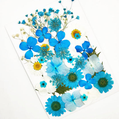 Nail Art Dry Flower Mix Color Mask Queen Nepal