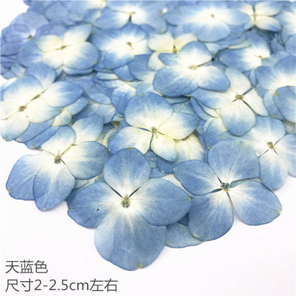 Nail Art Dry Flower Mix Color Mask Queen Nepal