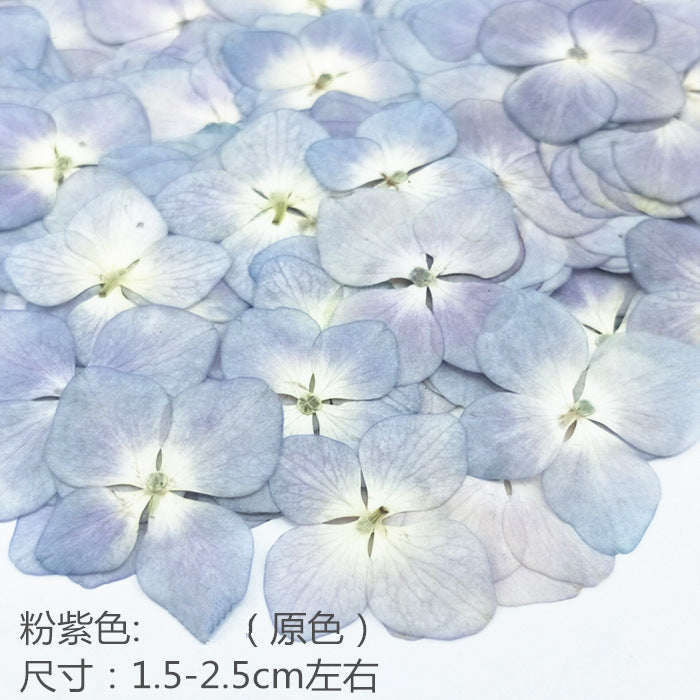 Nail Art Dry Flower Mix Color Mask Queen Nepal