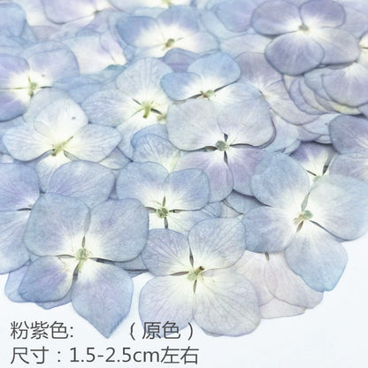 Nail Art Dry Flower Mix Color Mask Queen Nepal