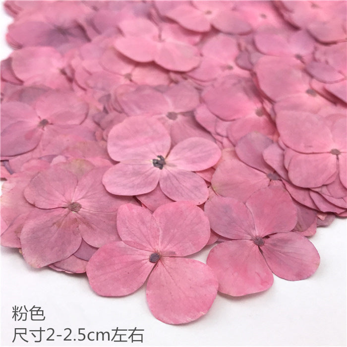 Nail Art Dry Flower Mix Color Mask Queen Nepal