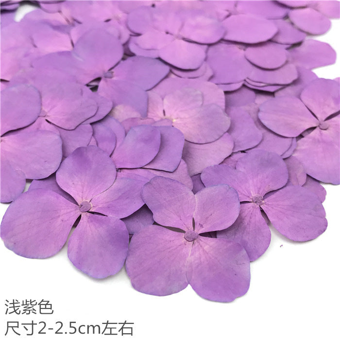 Nail Art Dry Flower Mix Color Mask Queen Nepal