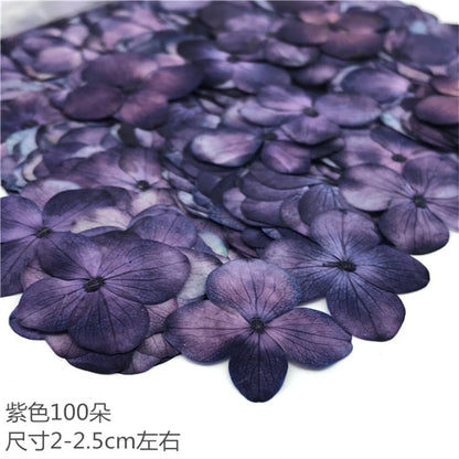 Nail Art Dry Flower Mix Color Mask Queen Nepal