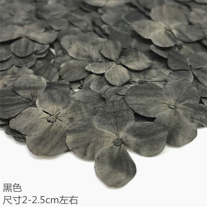 Nail Art Dry Flower Mix Color Mask Queen Nepal