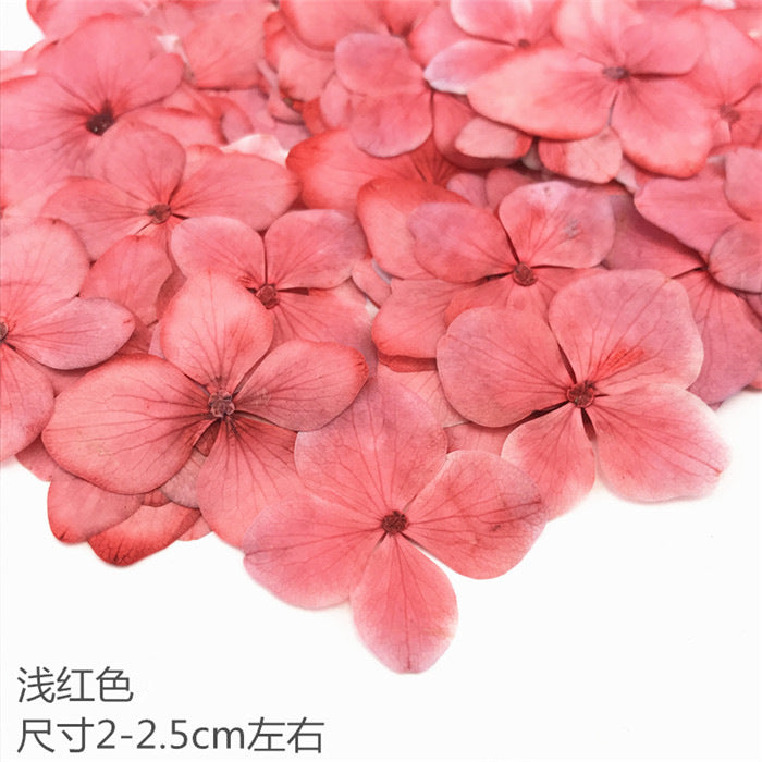 Nail Art Dry Flower Mix Color Mask Queen Nepal