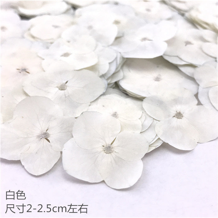 Nail Art Dry Flower Mix Color Mask Queen Nepal