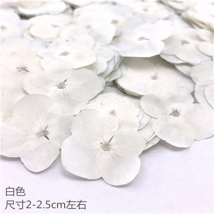 Nail Art Dry Flower Mix Color Mask Queen Nepal