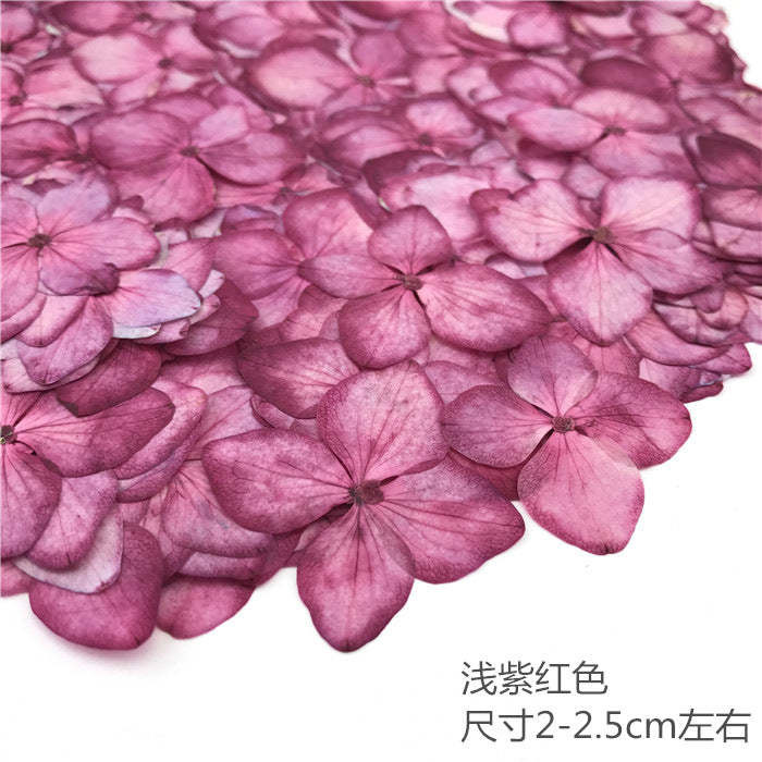 Nail Art Dry Flower Mix Color Mask Queen Nepal