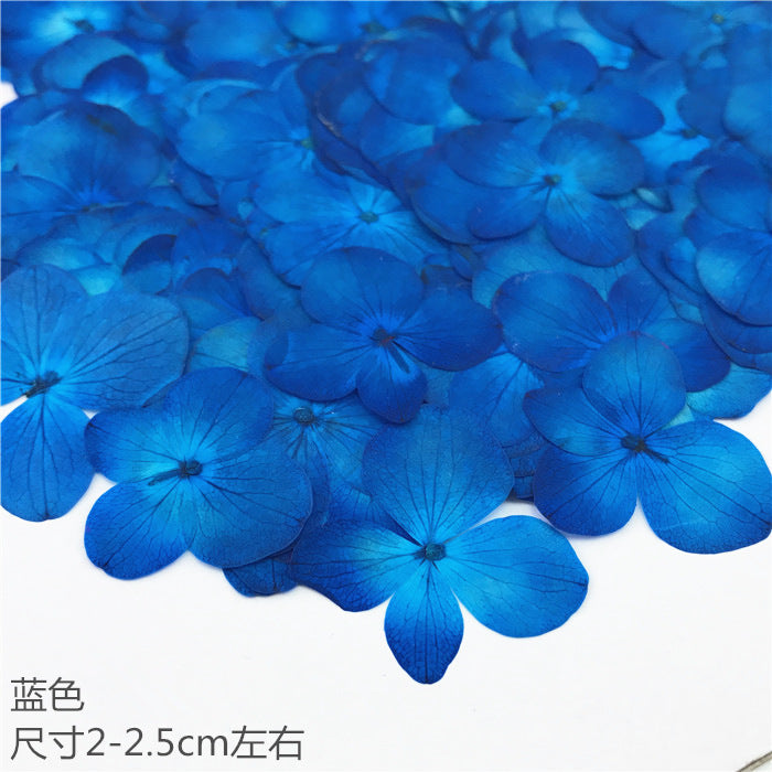 Nail Art Dry Flower Mix Color Mask Queen Nepal