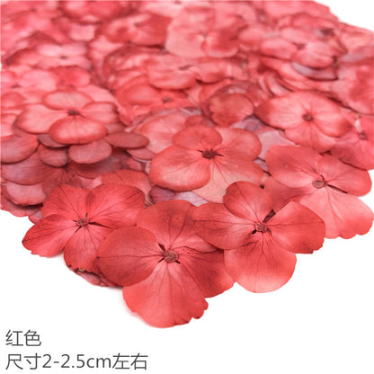 Nail Art Dry Flower Mix Color Mask Queen Nepal