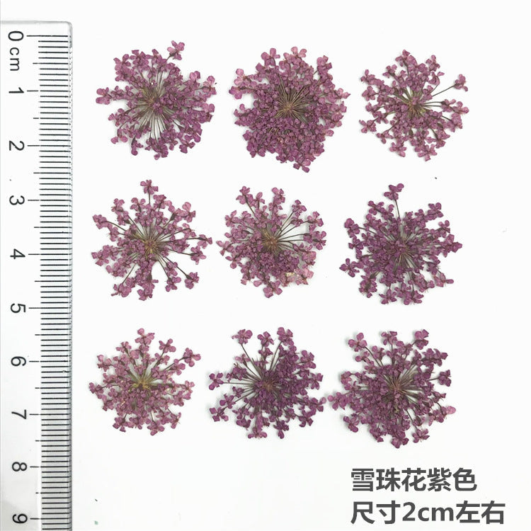 Nail Art Dry Flower Mix Color Mask Queen Nepal