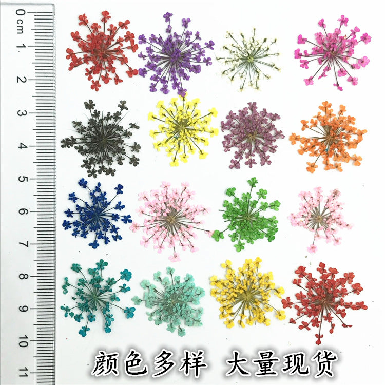 Nail Art Dry Flower Mix Color Mask Queen Nepal