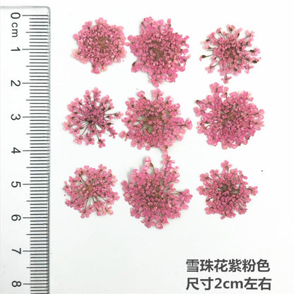 Nail Art Dry Flower Mix Color Mask Queen Nepal