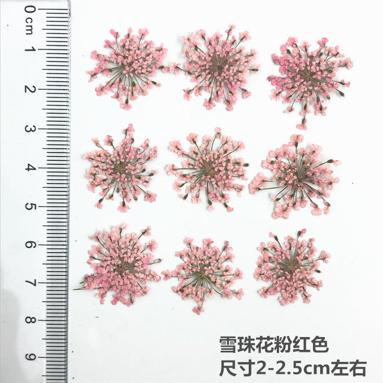 Nail Art Dry Flower Mix Color Mask Queen Nepal