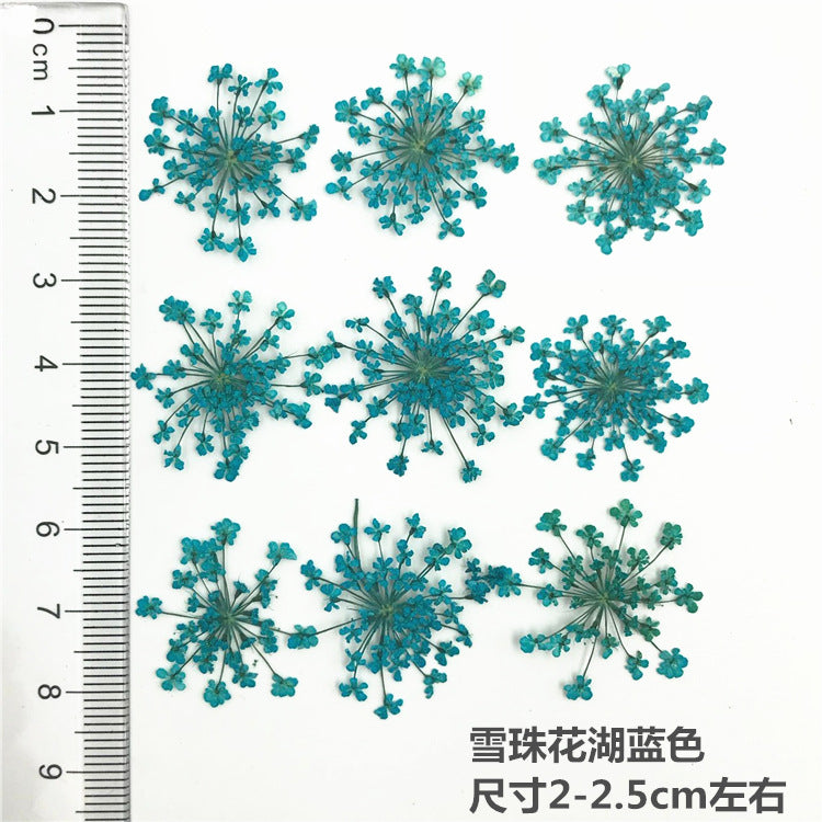 Nail Art Dry Flower Mix Color Mask Queen Nepal