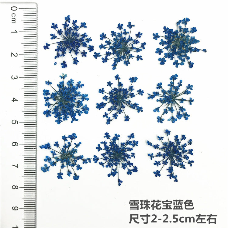 Nail Art Dry Flower Mix Color Mask Queen Nepal